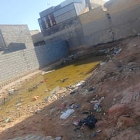 حصوه الحولي • ٢٠٤م • زراعي