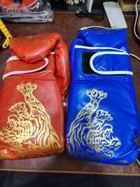 قفازات ملاكمة • للبيع