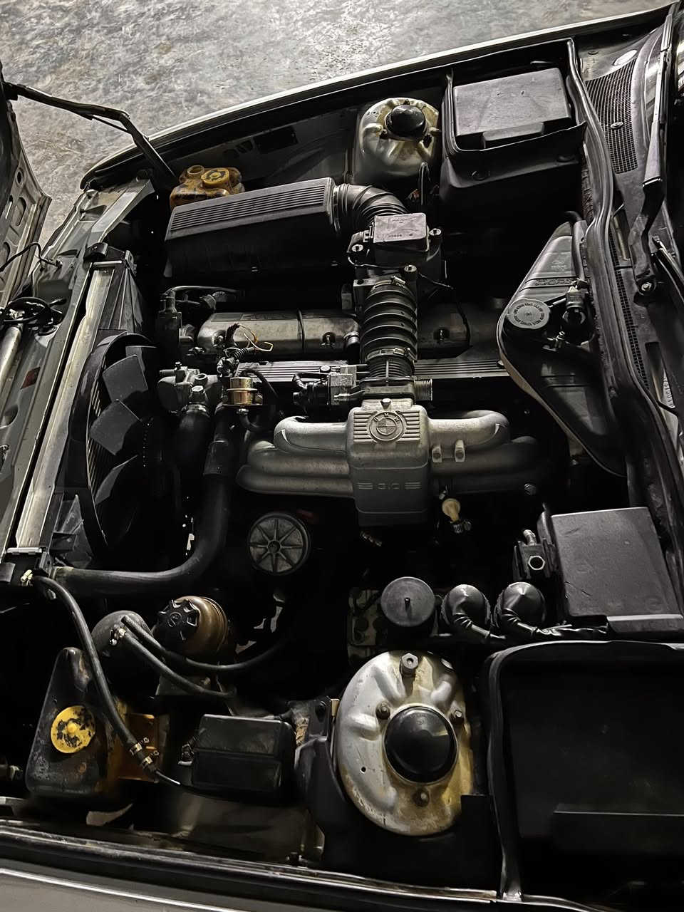 ﷽
بي ام 735
موديل1991
تبريد شغال.
صدر امامي خلفي جديد قبل اسبوع شاده 
تخم تاير جديد
مصبوغه عام للجماليه بدون اي ضربه 
كهربائات كلها شغاله ماكو اي نقص 
كشن كهربائي 
مري كهربائي 
سياره احله من صور 
رقم بغداد 
هزه جديده 
سنويه لغايه 2035
مكاني بغداد 
رقم ***********
سعر 66بيها مجال
