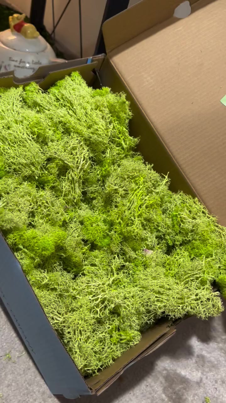 السلام عليكم . متوفر استفسار ع الخاص 💜


**إذا كنت صاحب هذا الإعلان وتريد حذفه لأي سبب، رجاءا أرسل رسالة إلى الدعم الفني**