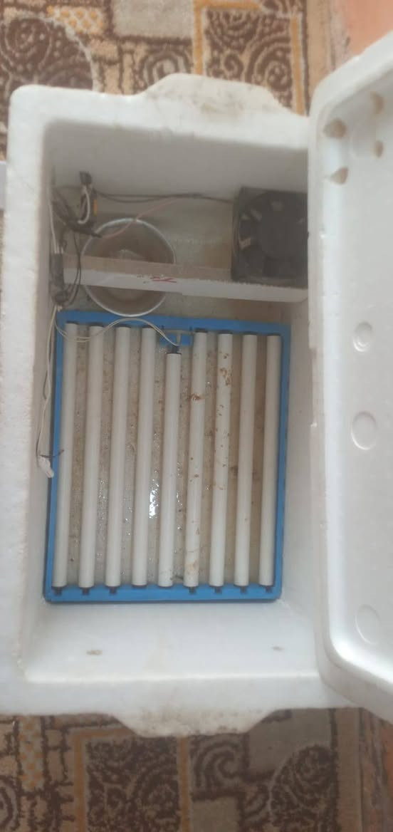 فقاسه اوتماتيك للبيع شيل 60 بيضه ميسان الماجديه سعره 70
اي استفسار تصال ***********
