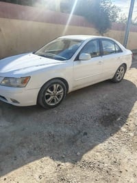 سوناته • ٢٠٠٩ • المسيب