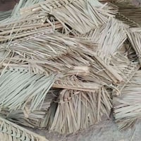 مكناسة يدوية • درجة أولى • كوت انوار الصدر