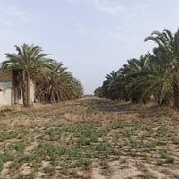 ١٥ دونم • واجهة ٥٥م • طريق بغداد