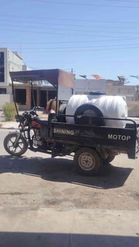 ستوته • ام طير • ٢٠٢٠