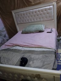 الجربايه نفرين اريد ابيعه هيه والدوشك مالهه سعرهن 150 يوجد واتساب اي ا...