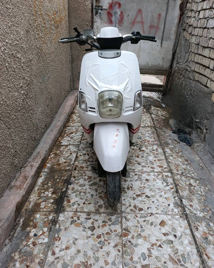 بغداد . الشعب 