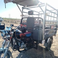 ستوته ام الطير • موديل 2019 • توك توك