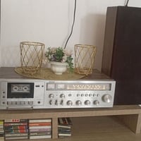 رايزنك • شغال