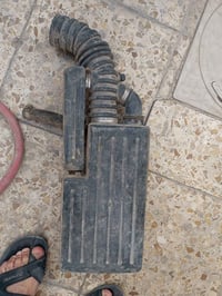 شوتة فورنزا • أصلية • جوين