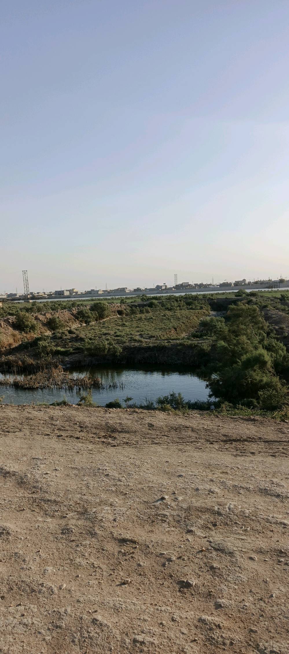 بستان على شط العرب مساحته 5 دونم يحتوي على بيت الأرض مسيجه جزء منه بلوك والباقي بي ارسي
تحتوي على نخل متعدد النوعيات وسدر بأنواعه تحتوي على بحيرات سمك ومكان لتربيه الحيوانات ما تتأثر بالمد الملحي الأرض عله شط العرب مباشره طابو زراعي عنوانه النشوه قرب قرية سيد علي نور