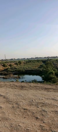 بستان على شط العرب مساحته 5 دونم يحتوي على بيت الأرض مسيجه جزء منه بلو...