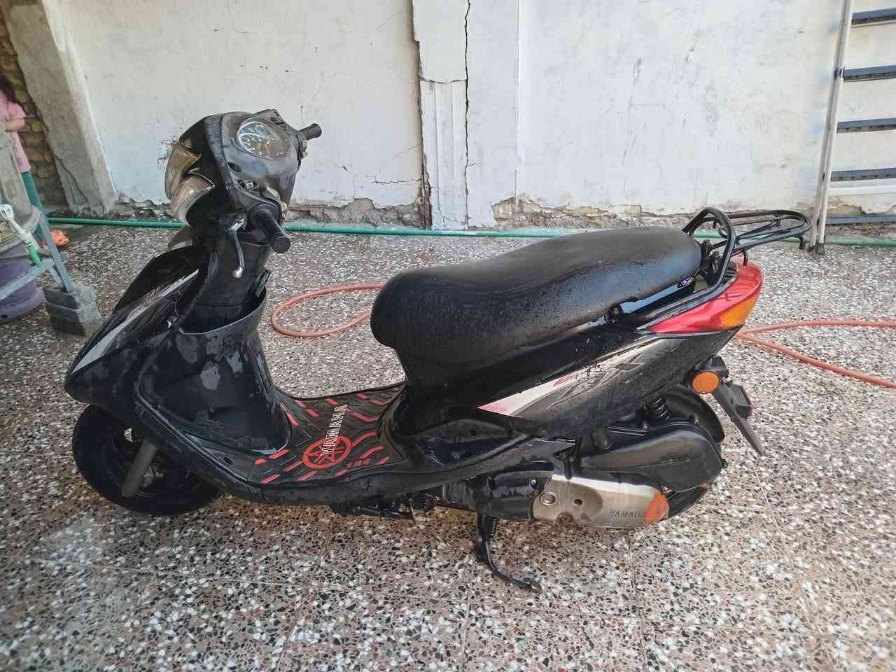 ببغاء مكفوله كفاله عامه ماشيه ٣٨ الف دراجه جديده كله شغاله مابيه اي نقص هاذ رقمي *********** مني الك سنه بيه
