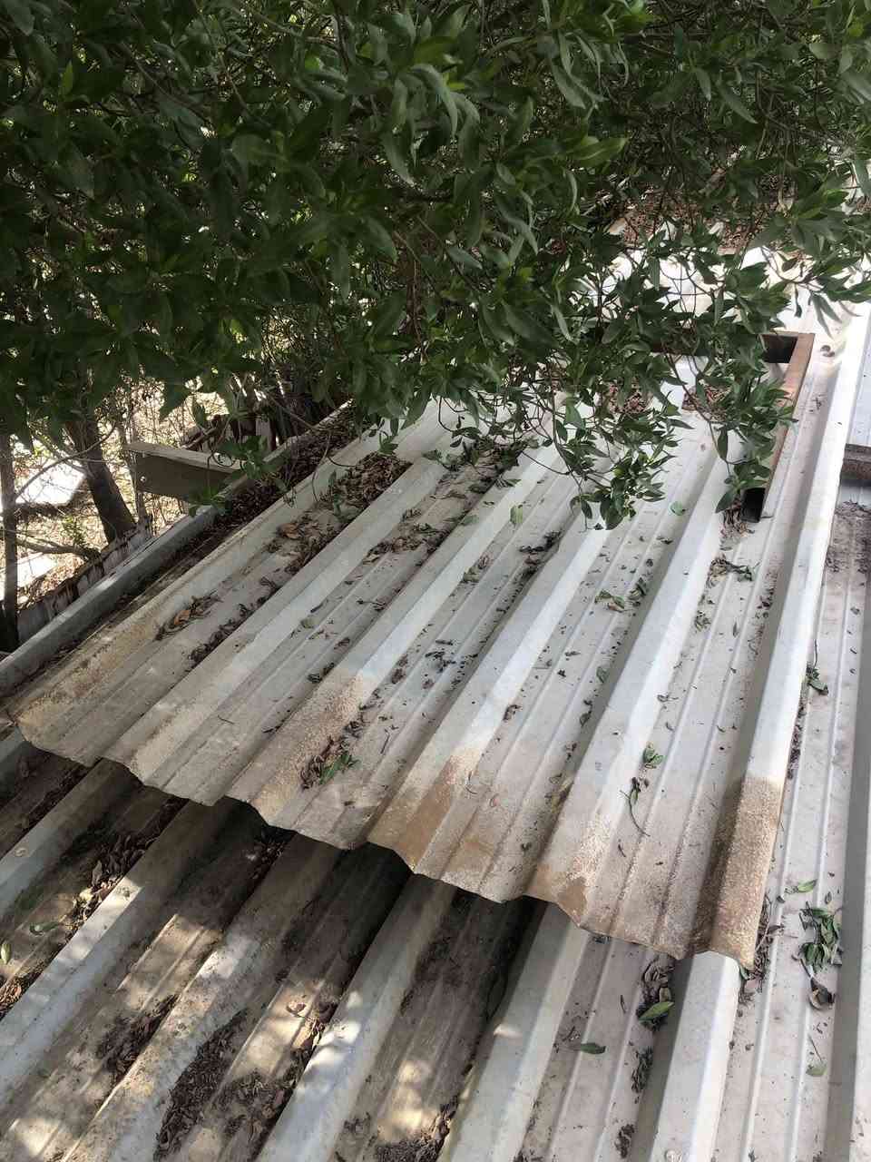 جينكو مستعمل الاصلي ابو الـ9 متر
والعدد 6 مكاني البصره ***********
