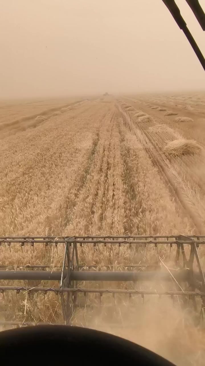 سلام عليكم ميكنه البيع موديل 2007 قايش
دكشن عالي بايزون مشتغله موسمين بل عراق مكينه نضيفه مكفوله كفاله عامه شرط الرقم ***********  رقم اربيل
