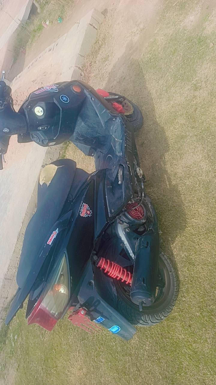 سلام عليكم سكنس فحل جدآ نضيفه وشوف العين السعر ٥٠٠وبيهة مجال للسفسار ***********وات ساب
