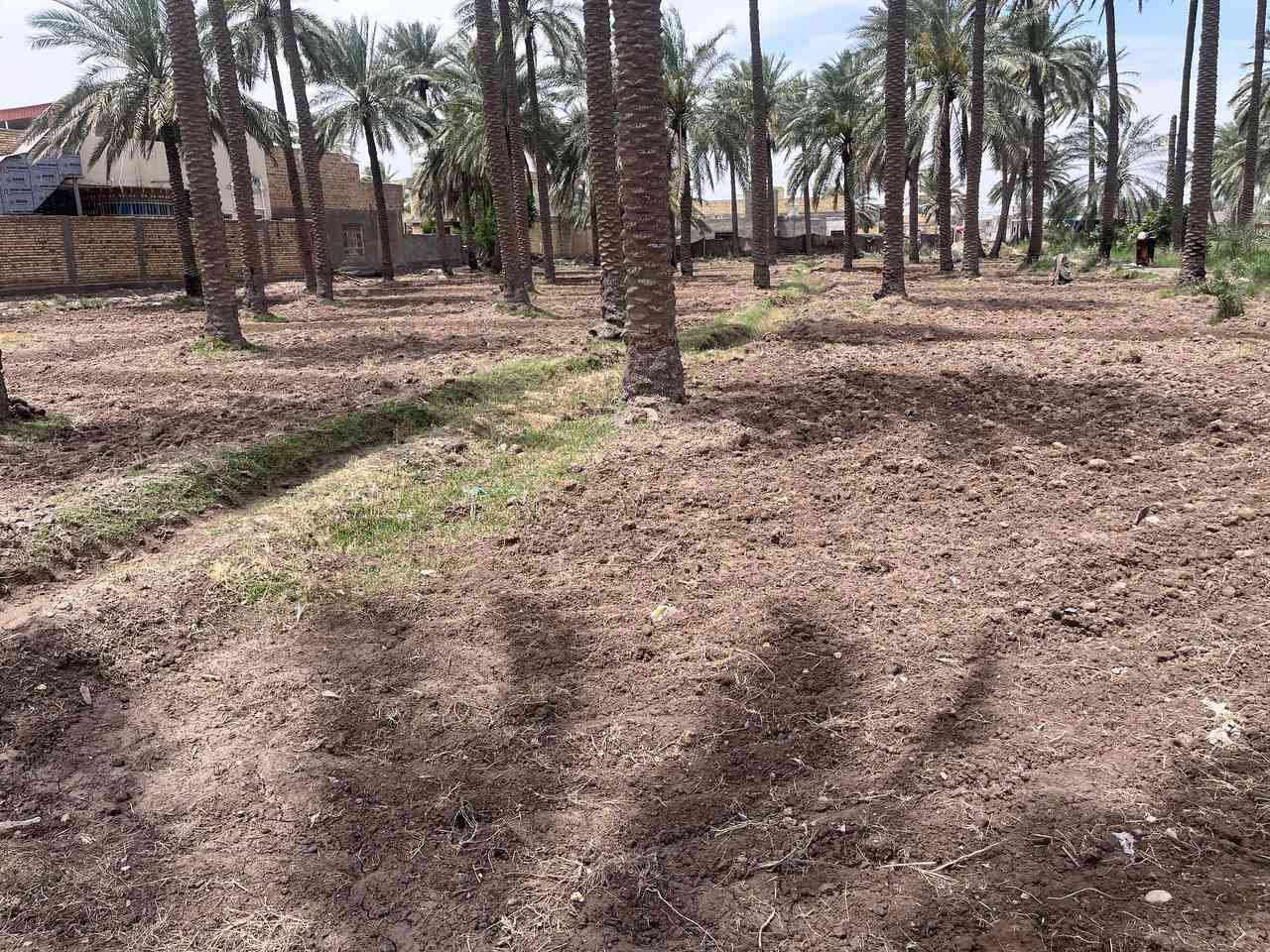 السلام عليك ارض 1000متر   لبيع
موقع الارض  ع طريق حمزه هاشميه قريبه ع جسر الهاشميه 
سند عثماني 

الاستفسار 
***********
