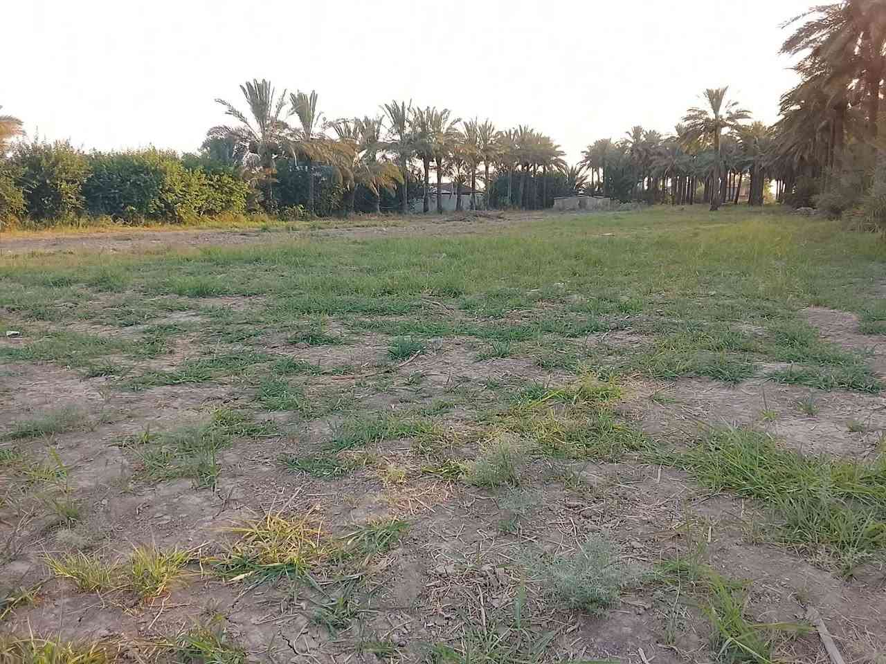 دونمين ملك صرف للبيع الاتصال ع الرقم *********** الصناعه الثالثة منطقة العثماينه
