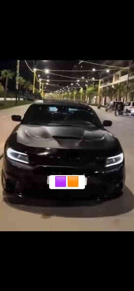 السلام عليكم ادوات ادوات جارجر 21 اصل بوليسي تعليك كير 8 نمر ✈️
  كصه جنطة فقط السيارة كارتون بريحة الشركة كامله وجاهزة ما ناقصها برغي 
منضومة تبريد كاملة ثلج برمجه مراوح حدادية 100% محرك كارتون شرط مي من الصالنصة مبرمجة SRT صوت و اداء
 عليها كت كامل SRT دعامية ولحيه و دوس ومري ويل 18 RT اخر اصدار امس شادة بالكارتون
 تخم تاير جديد دلوب السيارة متعوب عليها ومصروف عليها خير من الله 
تاخذها شرط بوجهك سافر متؤم ارقام وسنوية اصليات مو لزك اكرر اصليات اصليات شغل فوك المضبوط
 السعر73وبيها مجال السيارة احلى من الصور بهووواي كفاله من الزلغ وبالعافية على الياخذه مروس ترهم مكاني الدوانيه 

‪0783 827 4299‬
