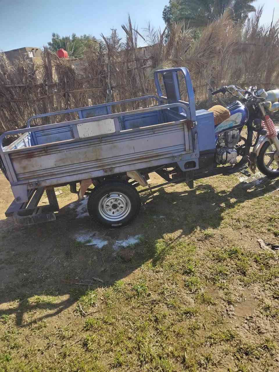 لسلام عليكم ستوته صقر فحل باب اول موديل 2020 كهربايات شغاله اوراق اصوليه مكينه مكفولا كفاله عامه مكاني ديوانيه قضاء الشافعيه السعر 1500وبيه مجال الست***********
