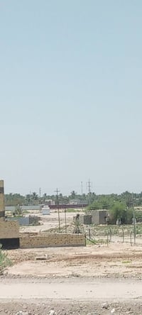 طابو صرف • محيزم 7 • ١٠٠م