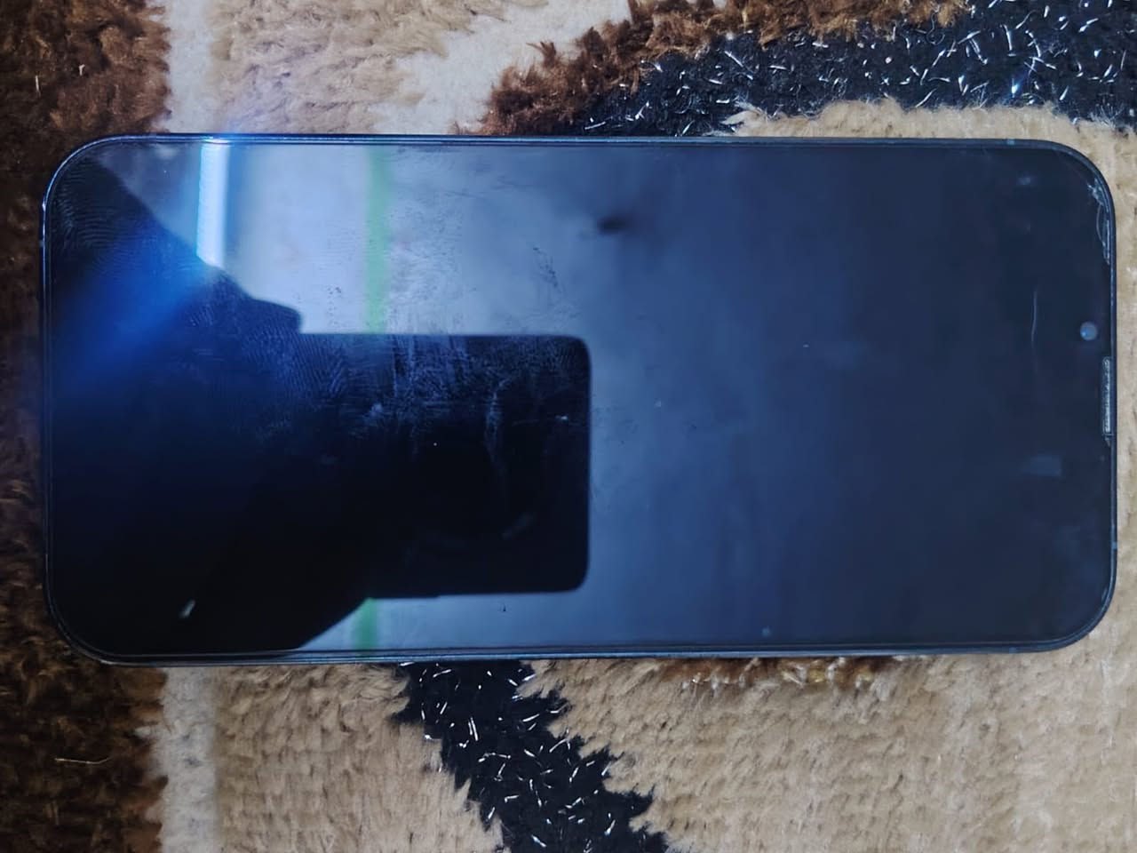 سلام عليكم
13 برو ماكس للبيع 
جهاز نضيف ومكفول 100%
بطاريه 93 بلاديه 
جهاز ممفتوح برغي بي مكفول 
جاهز مامتعوب ولا منزل بي العاب استخدام شخصي
سعر 700 مابي مجال
رجاءً الموشراي لا يكسر بسعره


**إذا كنت صاحب هذا الإعلان وتريد حذفه لأي سبب، رجاءا أرسل رسالة إلى الدعم الفني**