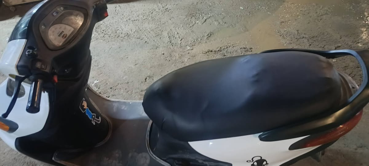 دراجه دولفين ماعايزه كلشي.
السعر خاص او الانتصال. عل رقم. ***********
