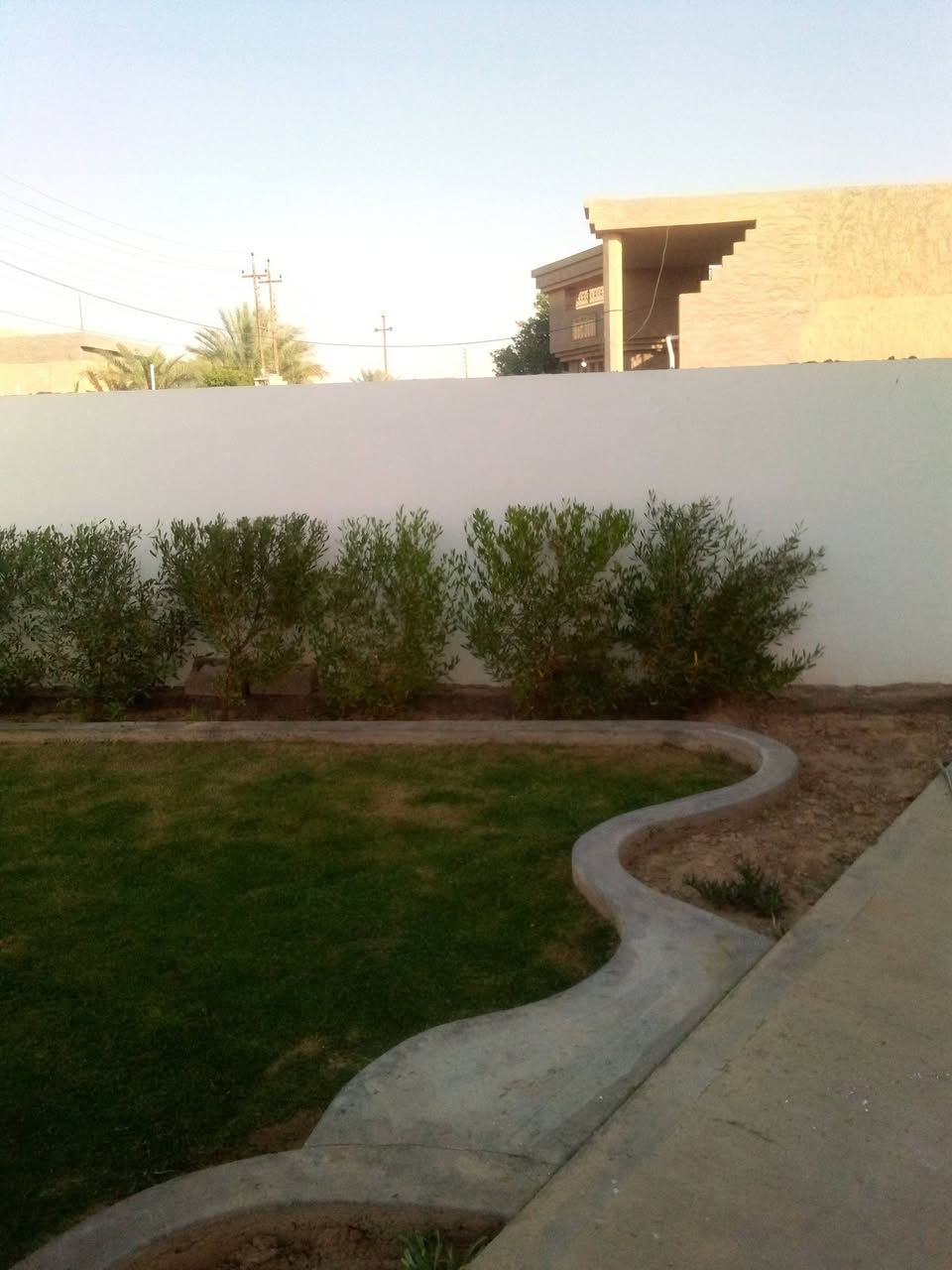 ⚜️قص الثيل والياس والديدونيا⚜️
📢يتوفر📢
🔴تقليم الياس والديدونيا بمنشار الكهرباء🔴
🔵قص الثيل🔵
للاستفسار🤷🏻‍♂️ اكثر ارسل📠 رسالة📨 الى Abd Almunam Alrawi  
او☎️ اتصل على الرقم📱 *********** 📞
