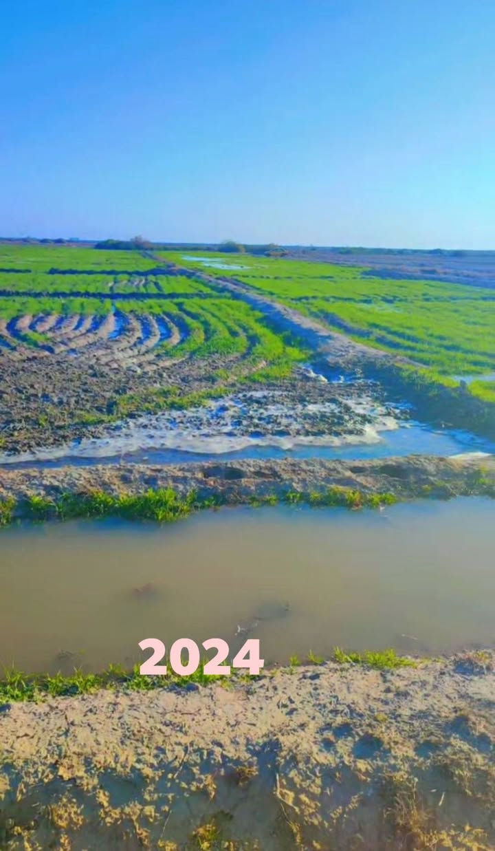 سلام عليكم أرض طابو زراعي سند 25 للبيع 60دونم العنوان الدوانيه الشافعية سعر الدونم /مليون  مداور مباشر يوجد كهرباء لها طرق على السدير وعلى الشافعية 

 ***********
