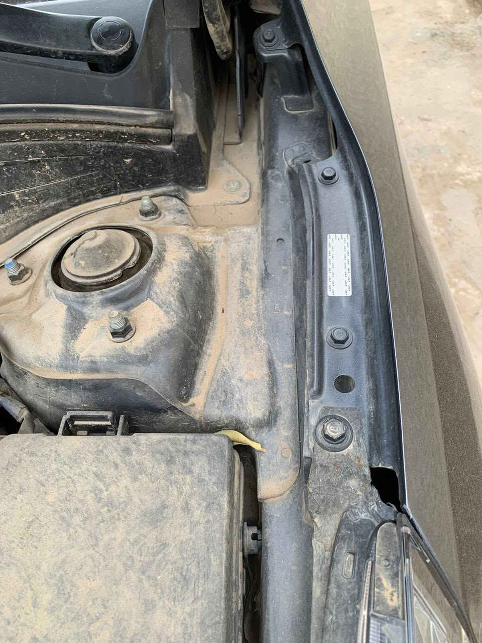 بسم الله الرحمن الرحيم
السلام عليك ورحمة الله وبركاته 
كيا فورتي وارد امريكي 
موديل ٢٠٢٤
ماشيه ١٧ الف ميل 
بدون صبغ بدون تبديل ليبل واحد بيها فقط الدعاميه الاماميه 
نص مواصفات 
رادارات +اشاره بالمرايا 
تحكمات استيرن فول 
شاشه وكامره دواره 
أنظمة قيادة 
ويل كب 
سياره جديده جدا 
رقم بغداد ترقيم جديد 
العنوان بغداد السريدات 
السعر ١٦٠ وبيها مجال للشراي 
التواصل على الرقم ***********او***********
