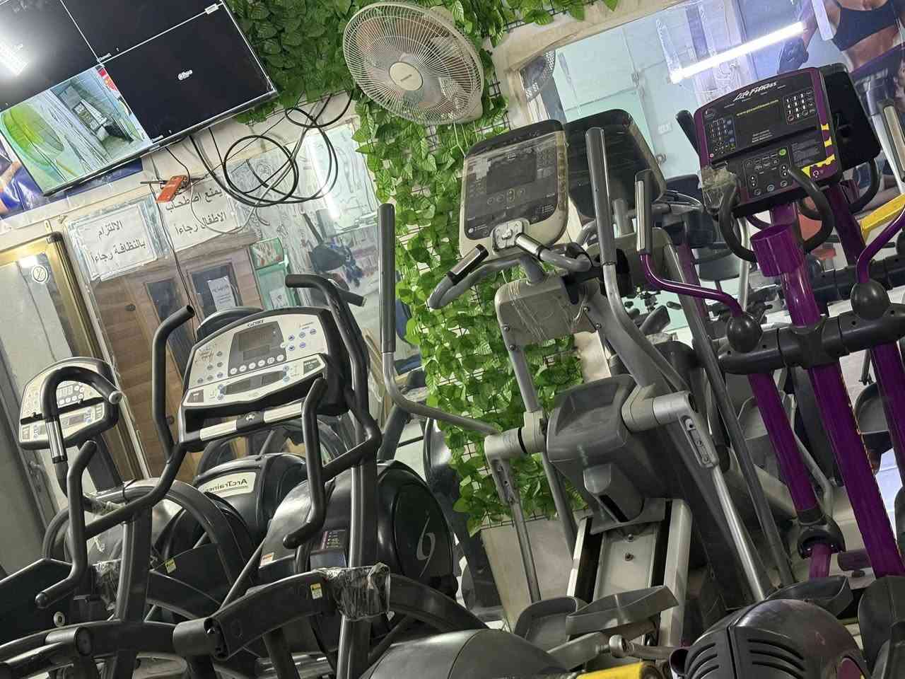 أعيد المنشور بسبب الوعود الكاذبه للبيع


**إذا كنت صاحب هذا الإعلان وتريد حذفه لأي سبب، رجاءا أرسل رسالة إلى الدعم الفني**