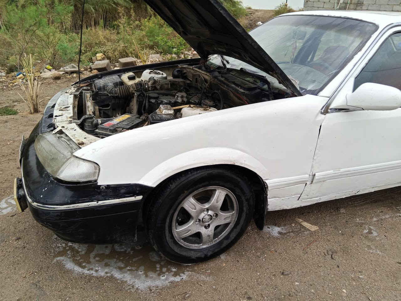 دايو برنس موديل 1996 كير مكينه بيها خيط تبخير خفيف تواير جدد حداديه زينه لايت زنون سنويه منتهيه ب 21 شرط مداور رقم بصره السعر 20  سوق الشيوخ ناحيه الطار ***********
