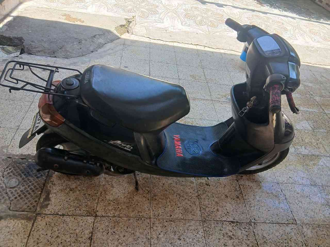 سلام عليكم من رخصت الدمان دراجه للبيع نوع بوتين 60دراجه مثل ما موضحه بل صور والفيديو كلو جديد ونضيف كلشي ما ناقصو فقط باتري ضعيف ورمنيه كلها شغاله بس بتريها تعبان سلف موجود دراجه مرتبه من شغل عل بيت بس ما نطلع بيها مفتوحها فقط من فوك نص مكينه فقط هندر واحد ما يثني ارجع وكول ورمنيه كلها شالغه حلاين بس باتري ضعيف يعني ///السعر 300وبيها مجال الطبين وسلام عليكم ❤💜***********
