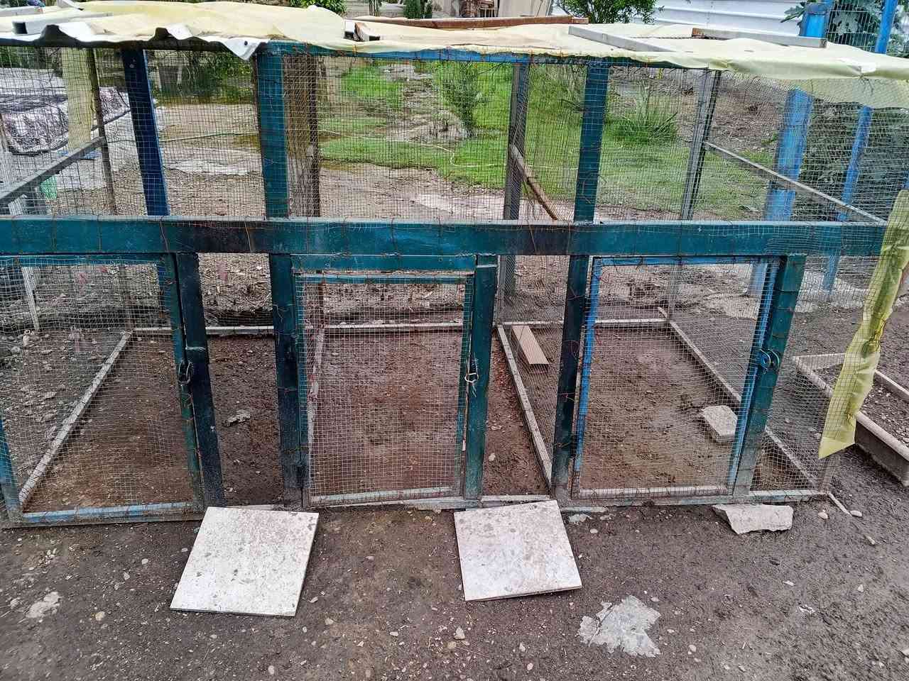 السلام عليكم....متوفر قفص مقسم الى ثلاث خانات وحديد ثقيل وسيم مغلون قفص تعبان علية وسعرها مناسب ...مكاني بغداد....السعر ١٥٠ مع المجال ..ليريد يراسلني خاص


**إذا كنت صاحب هذا الإعلان وتريد حذفه لأي سبب، رجاءا أرسل رسالة إلى الدعم الفني**