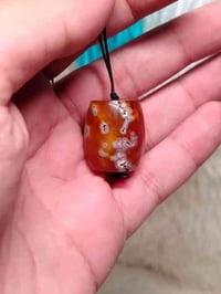 داودي • توصيل • فحص بالمندوب