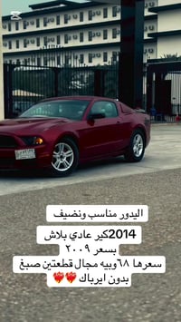 فورد موستانج • ٢٠١٤ • ديالى