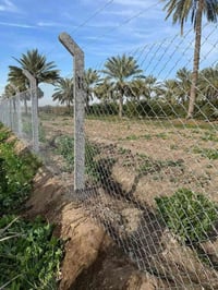 النسور • اسيجة BRC • بابل