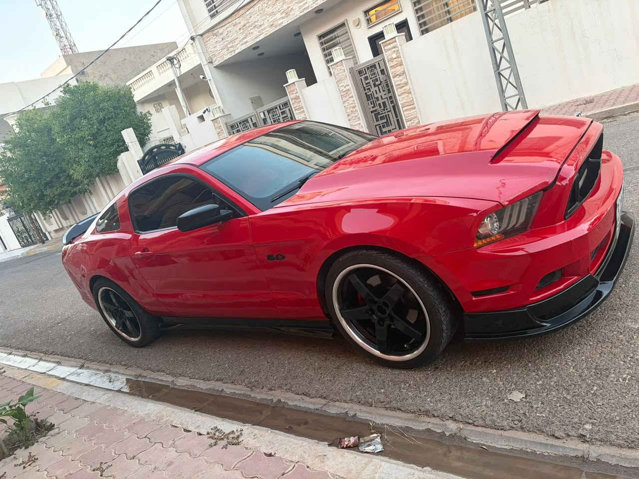 فقط بيع بدون مراوسه
فورت موستانك  
موديل 2013 
محرك 3700 V6 
كير محرك شرط ممفتوح بدون عيب 
((صبغ عام جماليه ))
دواخل نضيف بدون نواقص 
تبريد شغال 
سقف روز رايز 
لحيه RTR 
دفيوزر جيتي 
لايتات امامي محدث 2015 
بونيت تحديث سيلفاني
جناح RTR 
وياله فويزن حجم 20 
عليها 4 تايرات لوك ميشلان 
سياره حلوه بمعنا الكلمه 
مكان سياره كركوك 
للستفسار اكثر اتصاال او خاص 
***********
