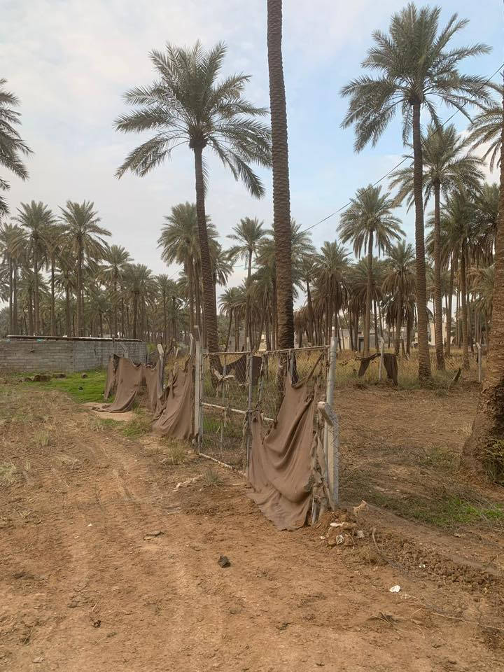 قطعة ارض زراعي سند 25 المساحة 300 متر ركن على شارعين الموقع شفتة قرب النهر العريض واصل ماء وكهرباء للاستفار الاتصال على الرقم ***********
