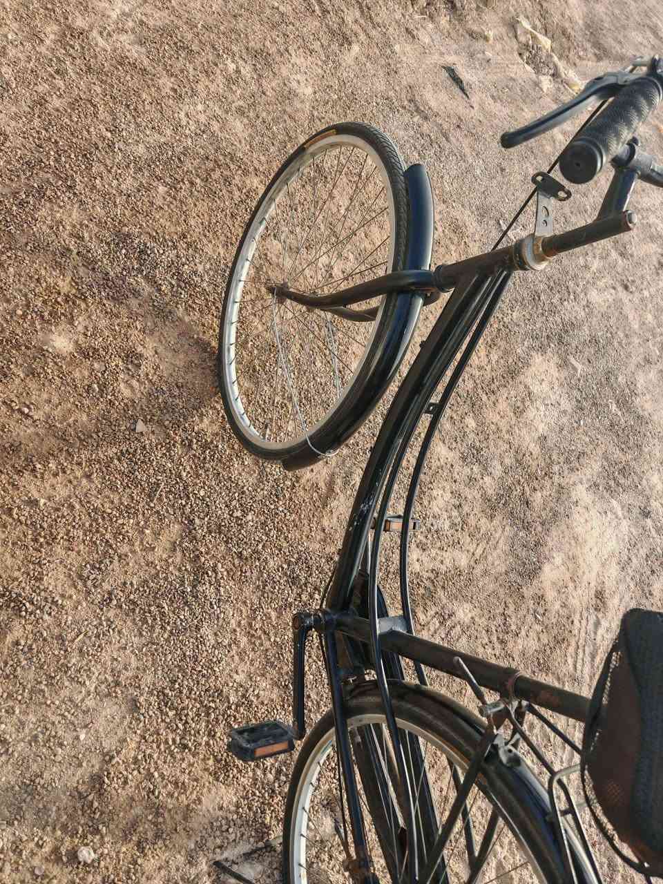بايسكل للبيع سعر مناسب ب٦٠ العنوان الشطره


**إذا كنت صاحب هذا الإعلان وتريد حذفه لأي سبب، رجاءا أرسل رسالة إلى الدعم الفني**