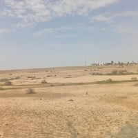 البيادر البغدادي • ٢٤٥ دونم • واجهة ٢٣٦م