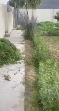 حدقجي تنظيف حدائق وزرع شتلات الموسمية تنظيف الادغال رقمي ٠٧٨٢٧٠٢٢٣٠٠