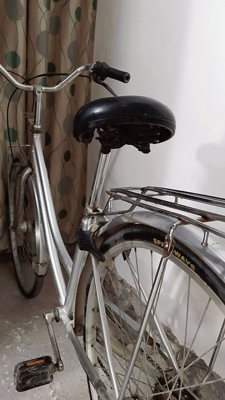 البايسكل نضيف وجديد وتاير مال خلفي وامامي نضيفات نوعيه لتاير اصلي ومختم هوه مبين من لعلامه يعني ما تلكه بايسكل جديد وهيج بنضافته لشراي يتصل البكان الشعب *********** متواجد واتساب سعره 75 الف ونضيف
