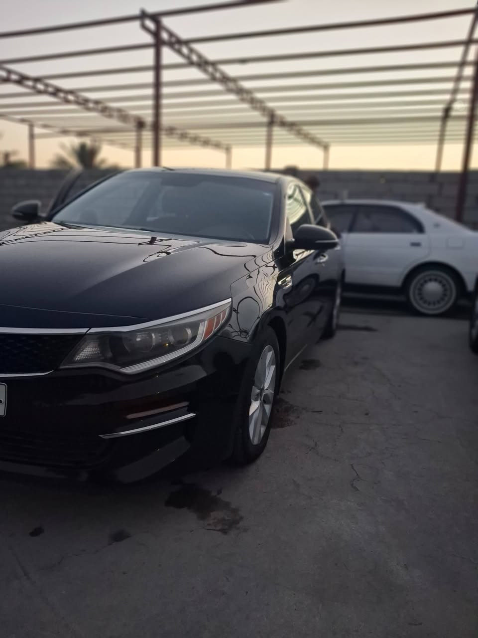 سلام عليكم  اوبتما أمريكي مديل ١٦ شمالي اربيل انكليزي بسمي سنويه هزه جديده
السياره حادثهه قبق جنطه فقط والباقي كفاله صافيه لا شخوط ولا غيرهه ماشيه ١٢٤ 
مكينه كير حداديه تخم تاير باتري كهربائيات تبريد كله جديد السياره مواصفات fe معروفه
السعر ١١٧ وبالعافيه على ياخذهه جديده وين يدور جديد
مكاني بابل 
***********
