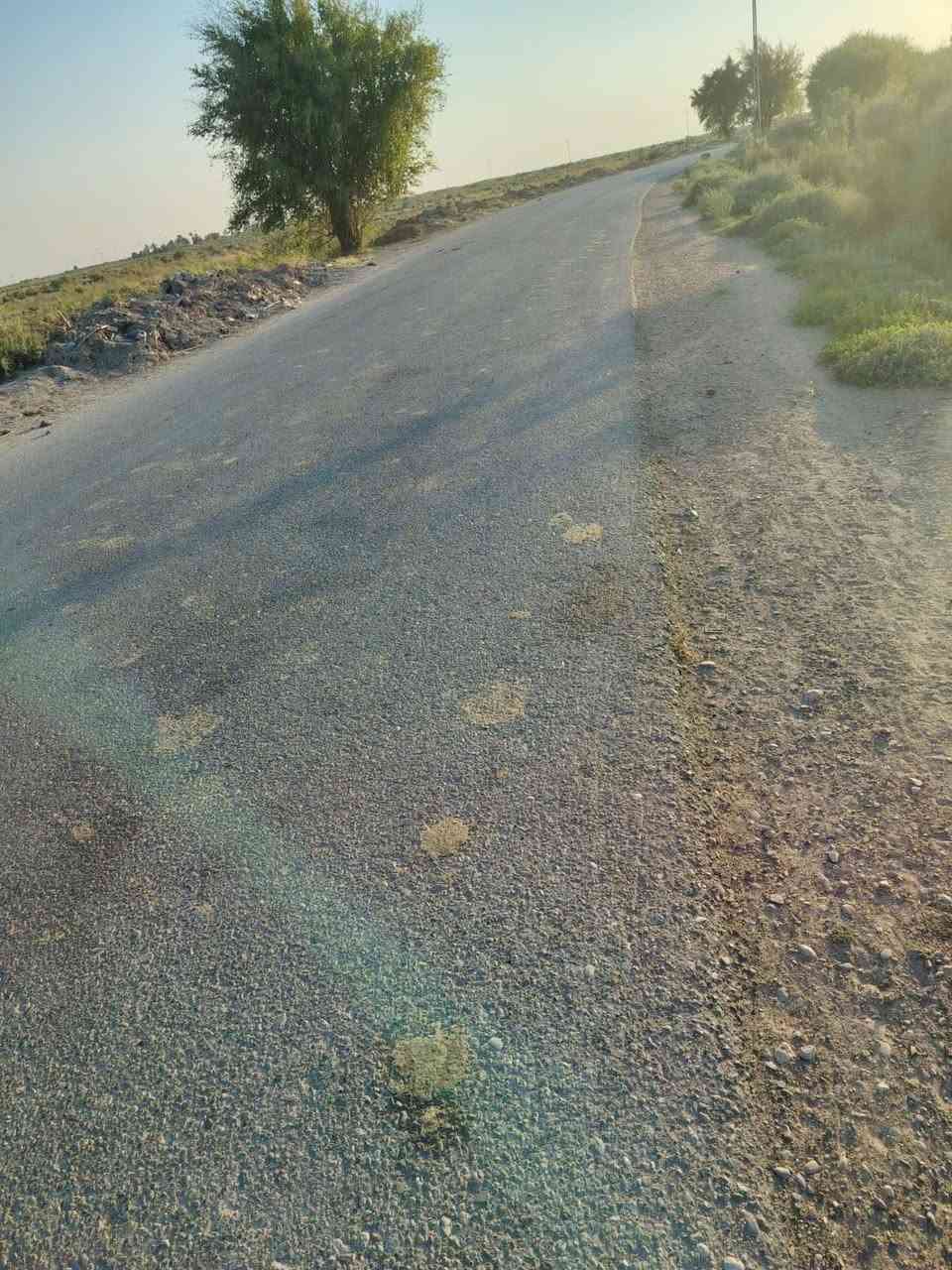 ارض زراعيه للبيع مخدومه  تبليط وماي وكهرباء خمس دوانم وجه اربعين *********** طريق الساير
