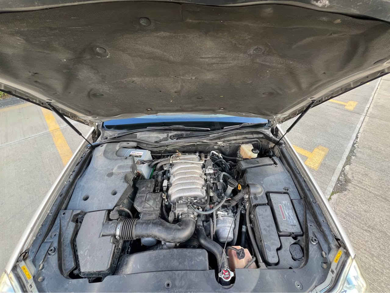 ماجێستا ٢٠٠٧ مانگی ١٠ تەنها فرۆشتن

کامل مەسروف کراو رۆنی مەکینە و گیری و دەبۆی ئیستۆپی تازەیە شفتەی مەعرەزچی نییە گشت گیانی لەسەر بیلاد ماوەتەوە چوپەکانی حور نەکراوە نەرمی بیلادی ماوە بەشەرت
تەنها یەک پارچەی بۆیاخە و موسە گێڕ و مەکینە و ئەکسلی قەترە چەوری پێوە نییە بەشەرت هی مالی خۆمە داوای ٦٥ لێ ئەکەم معامەلەی کەم
***********📞 ***********📞 السليمانية, العراق
