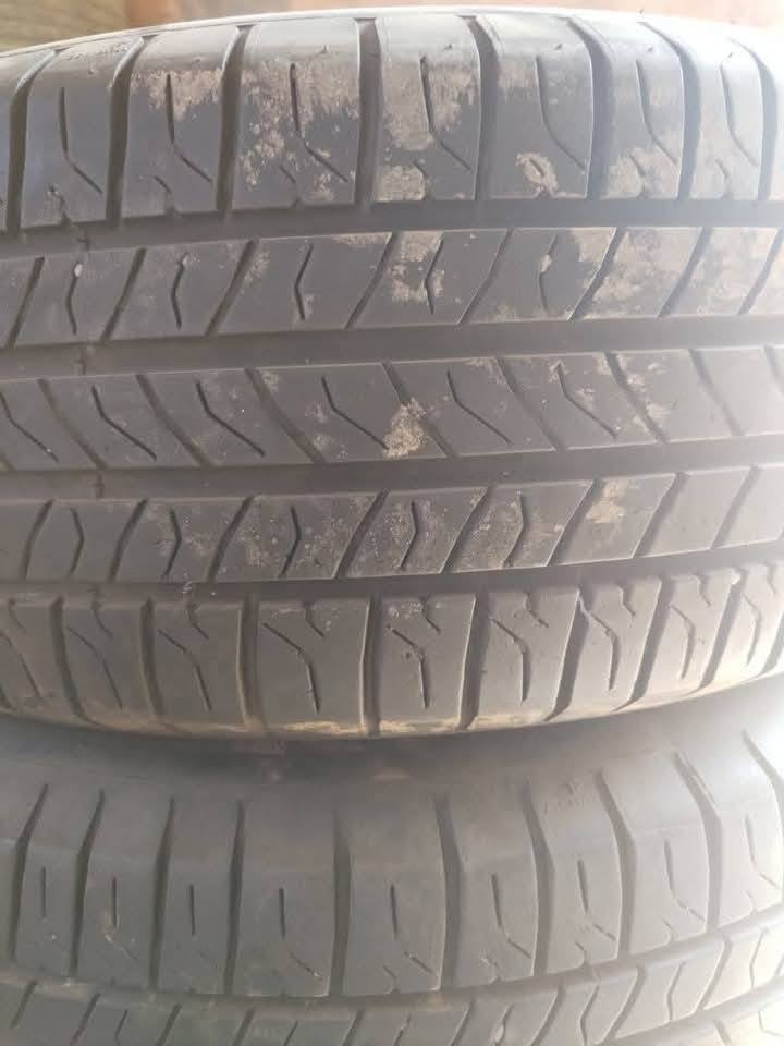 تخم ويل جارجر تخم تاير امريكي جدا جدا نظيف


**إذا كنت صاحب هذا الإعلان وتريد حذفه لأي سبب، رجاءا أرسل رسالة إلى الدعم الفني**