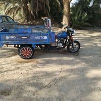 ستوته • فحل • موديل ١٦