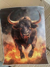 بوسترات جلد • ١٦٠ بوستر • متعدد القياسات