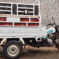 اسلم عليكم ستوتة البيع خير من الله أرقام وسنوية وهاذة رقم صاحبهة 07728...